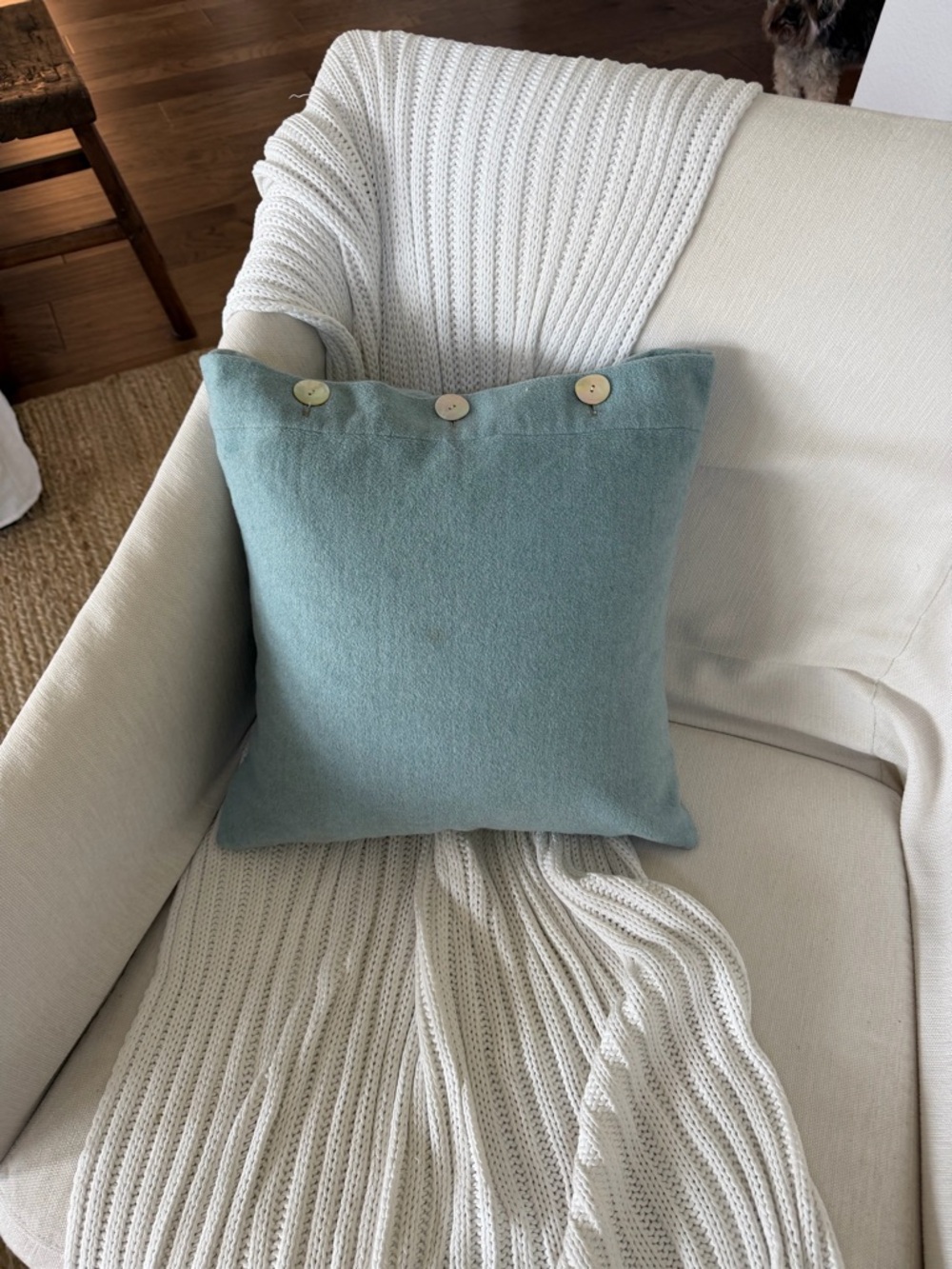 Light Teal Button-Top Throw Pillow